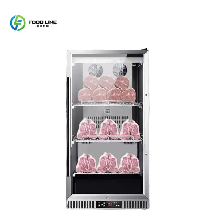 Nouveau Réfrigérateur de maturation de viande de bœuf avec pompe à moteur pour la viande séchée, idé