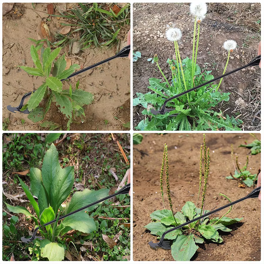 Houe de jardin fournitures agricoles outil de mauvaises herbes outils de jardinage ustensiles main herbicide mauvaises herbes enseignant agricole accessoires de ferme