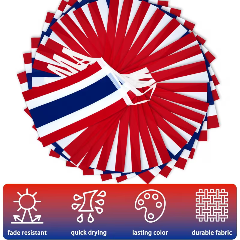 Bannière de fanion de drapeau de ficelle de thaïlande de drapeau de 5M/20, petit bannière de banderole de mini drapeaux thaïlandais, décoration de pays national pour l'école