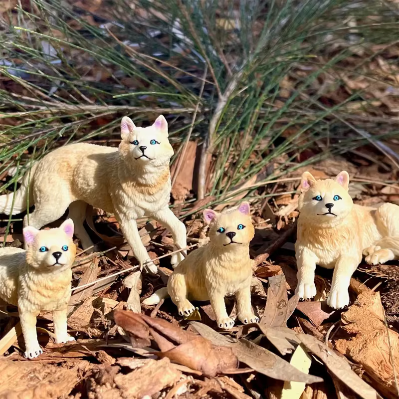 Figurines de loup de Simulation 6 pièces, jouets d'action modèle Animal sauvage pour enfants, coffret cadeau, Mini Figurines de collection
