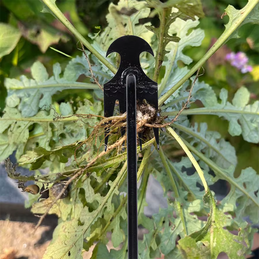 Houe de jardin fournitures agricoles outil de mauvaises herbes outils de jardinage ustensiles main herbicide mauvaises herbes enseignant agricole accessoires de ferme