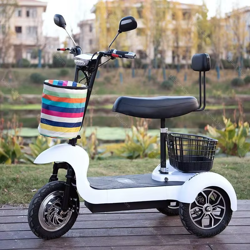 Mini Tricycle Électrique à 3 Roues pour Adulte, Scooter de 500W pour Personnes Âgées, avec mir de Chargement, USB, Lampe à la Mode, 35 Km/h, pour 2 Mortes