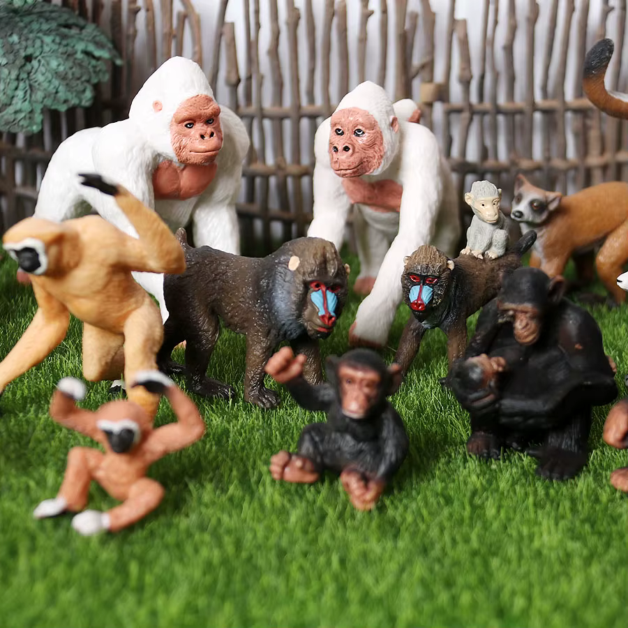 Figurines de simulation d'animaux sauvages : Mandrill, Chimpanzé, Gorille, Gibbon, Singe - Collection éducative de jouets et figurines