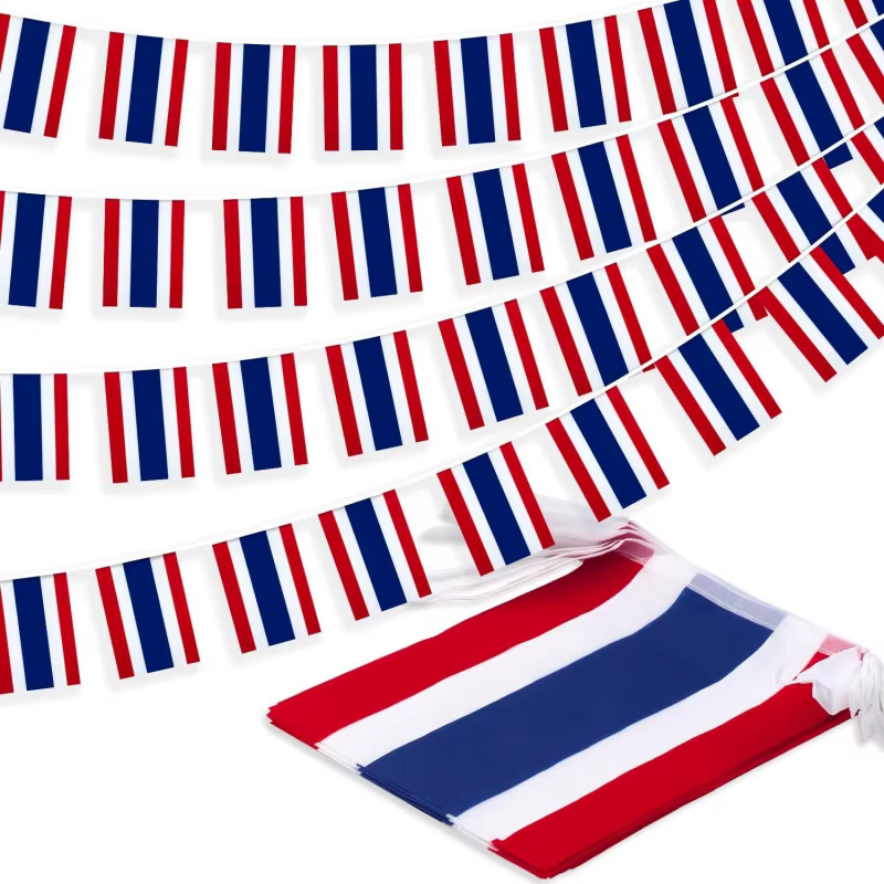 Bannière de fanion de drapeau de ficelle de thaïlande de drapeau de 5M/20, petit bannière de banderole de mini drapeaux thaïlandais, décoration de pays national pour l'école