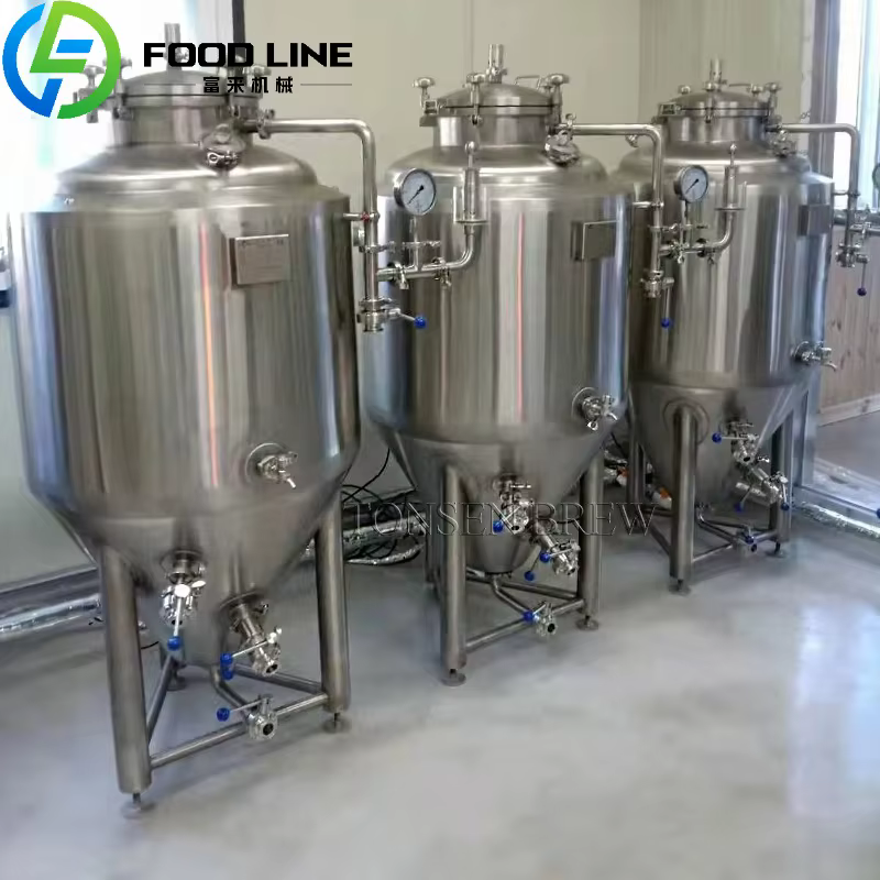 Réservoir de Fermentation de bière isobarique conique en acier inoxydable, 100l, 200l, pour microbrasserie