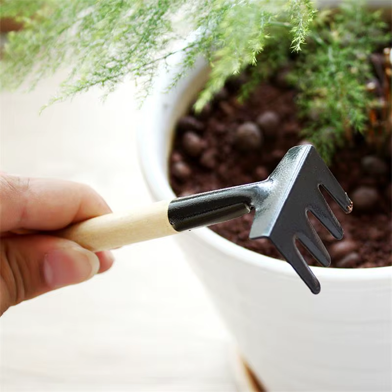 Ensemble d'outils de jardinage de trois pièces, mini outils de jardin, pelle multifonctionnelle, herse, plante domestique, pelle à sol enrichie