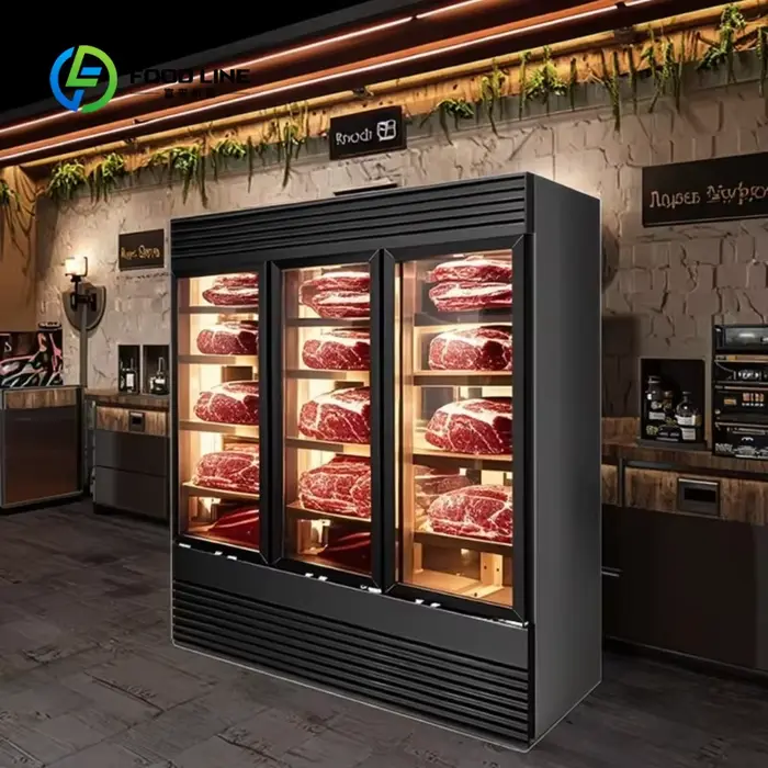Chambre de maturation à sec personnalisée pour salami, fromage, viande, bœuf, steak – Armoires réfri