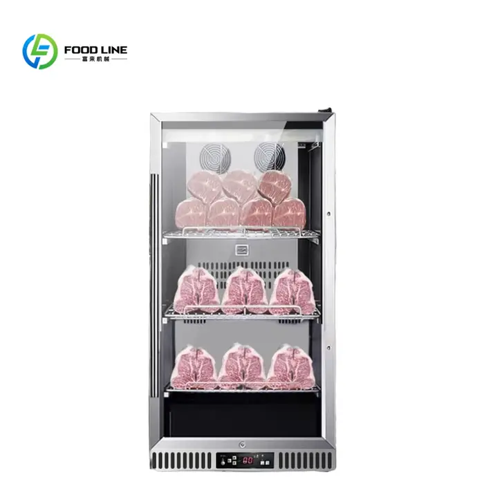 Nouveau Réfrigérateur de maturation de viande de bœuf avec pompe à moteur pour la viande séchée, idé
