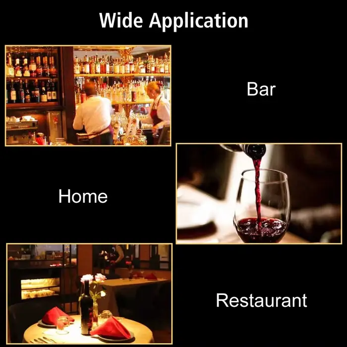 Refroidisseur de vin glacé refroidissement du vin avec verseur de vin + bouchon + coupe bâton